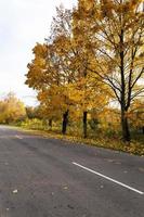 Autumn road . country photo