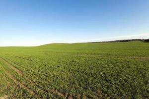 agricultural field . spring photo