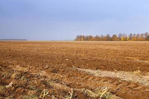plowed agricultural field photo