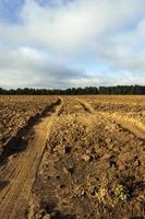 plowed soil, road photo