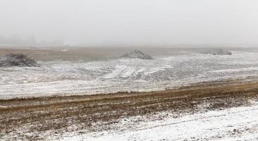 morning weather, field photo