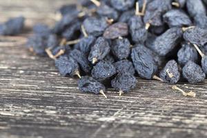 black natural made dried raisins photo