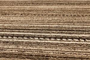 the plowed soil on which to grow cereal crops photo