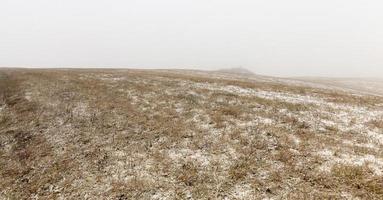 paisaje de invierno, campo foto