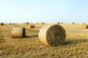 stack of straw in the field photo