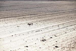 plowed agricultural land photo