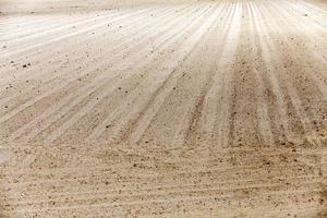 plowed land. close-up photo