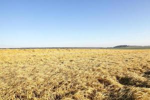 Photo agriculture, Europe