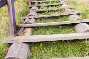 Old wooden ladder photo