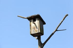 old birdhouse , closeup photo