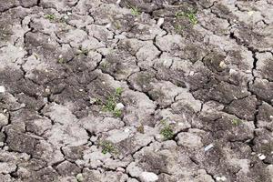 Cracked agricultural land photo