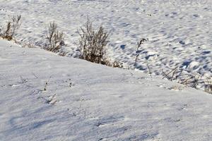 Snow drifts in winter photo