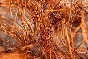 copper orange wire photo