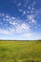 cielo y paisaje de primavera foto