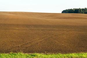 tierra arada, campo foto