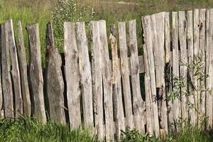 old board fence photo