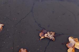 puddle mud, close up photo