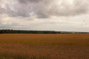 cloudy weather and sky photo