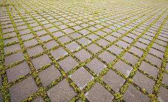 paving slabs close up photo