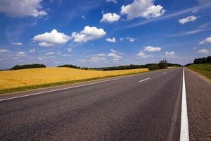 the asphalted road photo