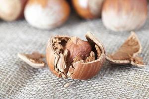 Shells on hazelnuts photo