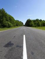 Empty road and forest photo