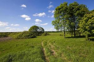 the rural road photo