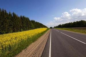 the asphalted road photo