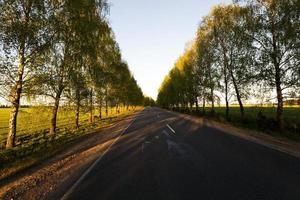 carretera asfaltada, primavera foto