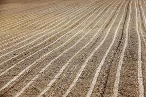 plowed agricultural land photo