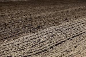 plowed land for cereal photo