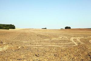 plowed land, summer photo