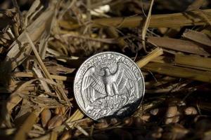 coin in the straw photo