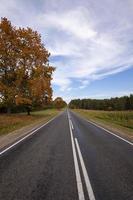 el camino del otoño foto