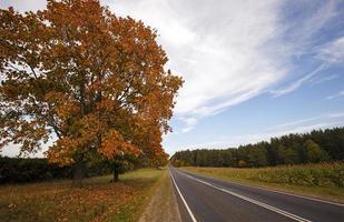 road in the fall photo