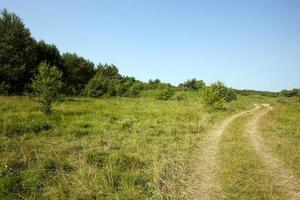 the rural road photo