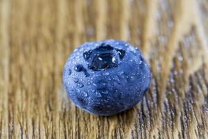 Blueberry with drops photo