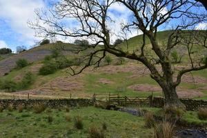 campos escénicos, pastos y colinas en inglaterra foto