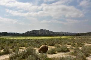 impresionante paisaje con campo cubierto de hierba y formación rocosa foto