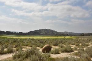 concreción de bala de cañón solitaria en un campo de hierba de las tierras baldías foto