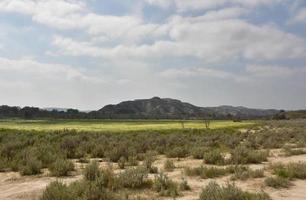 impresionantes praderas escénicas con un gran campo en las tierras baldías foto