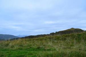 Stunning long grass fields in the highlands in Scotland photo