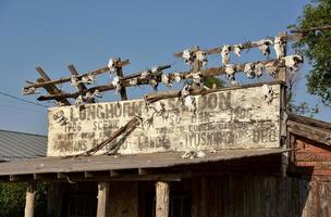 Faded Longhorn Sign with Skulls in a Ghost Town photo