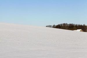winter landscape, field photo