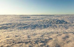 campo cubierto de nieve foto