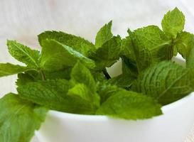 green aromatic mint photo