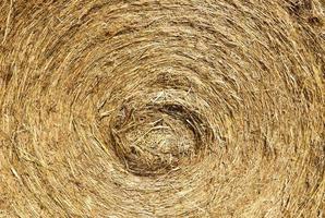 background of straw stack photo