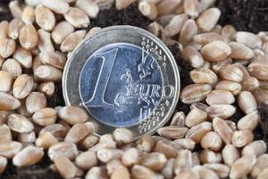One euro, close up photo