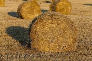 straw stack close up photo