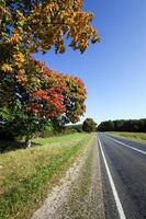 roadside road in autumn photo